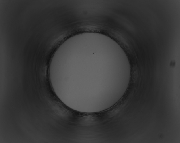 X0000091850310200710031025