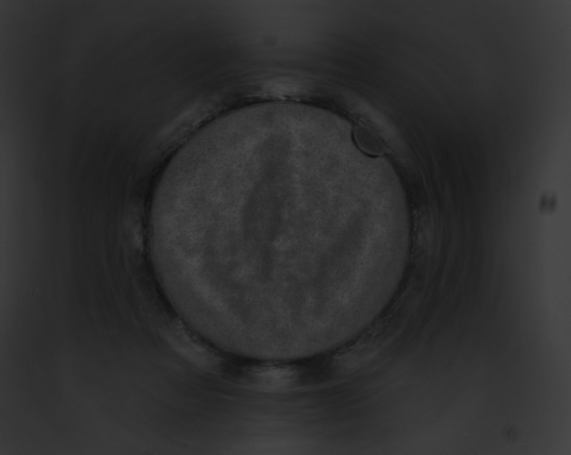 X0000091850313200710031025