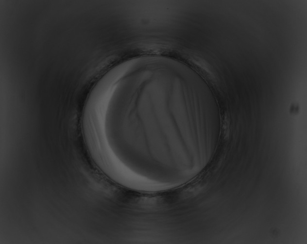 X0000091850314200710031025