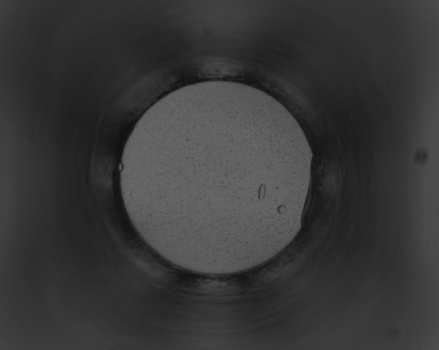 X0000091850315200710031025