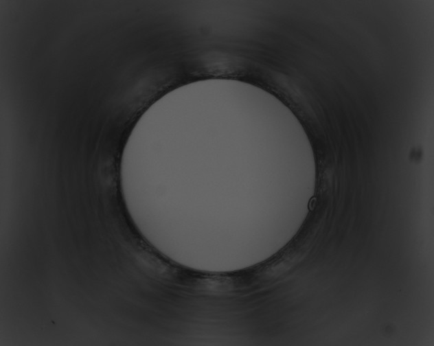 X0000091850317200710031025