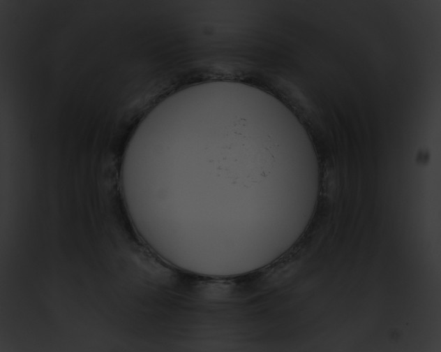 X0000091850318200710031025