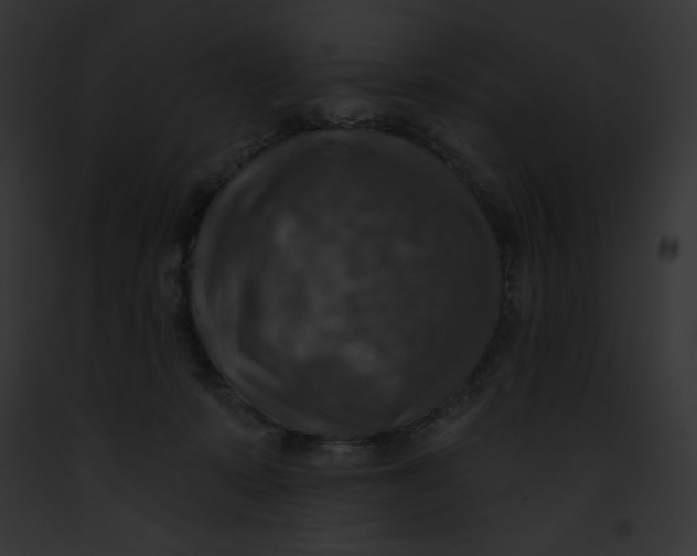 X0000091850319200710031025