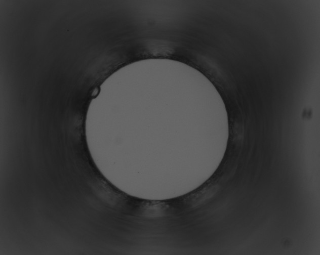 X0000091850321200710031025