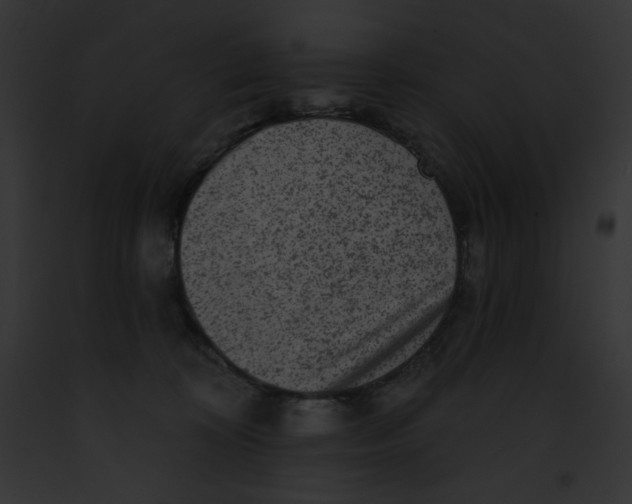 X0000091850324200710031025