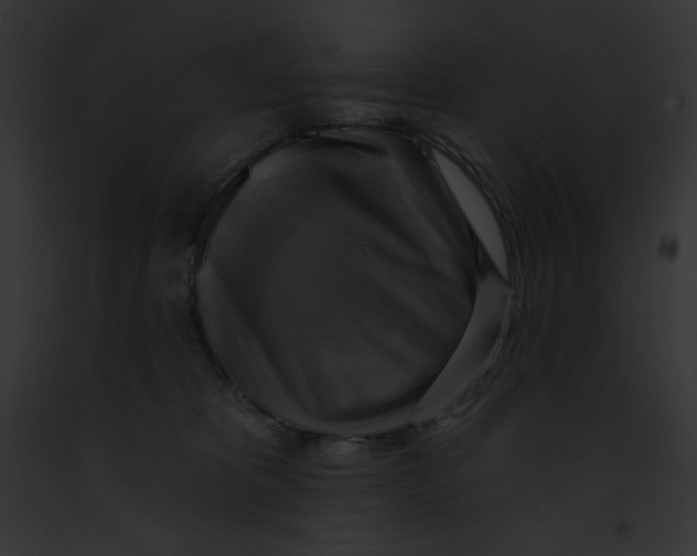 X0000091850325200710031025