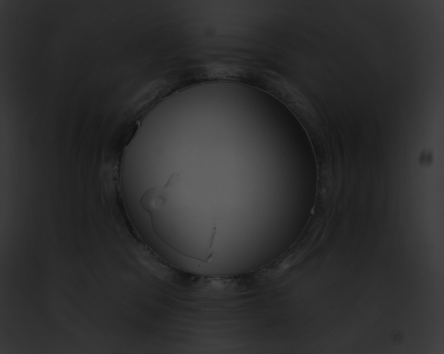 X0000091850329200710031025