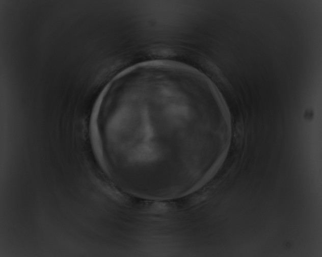 X0000091850330200710031025