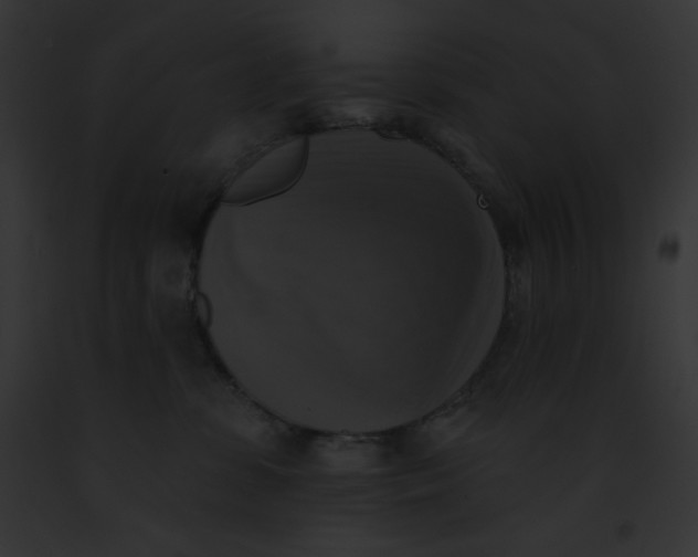 X0000091850331200710031025