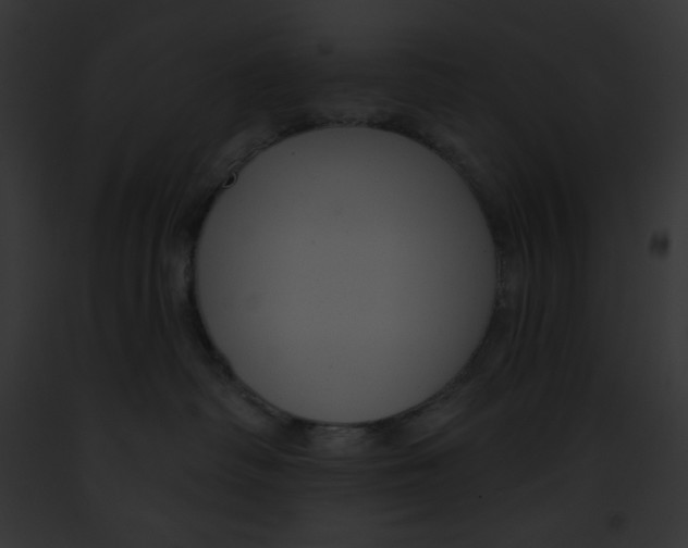 X0000091850334200710031025