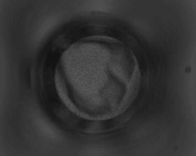 X0000091850335200710031025