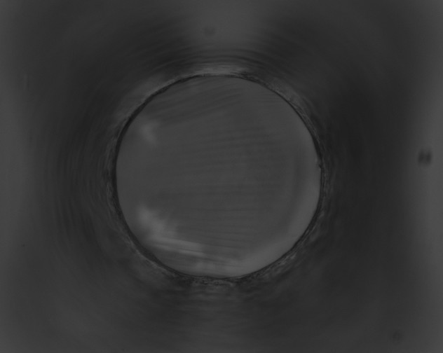 X0000091850337200710031024