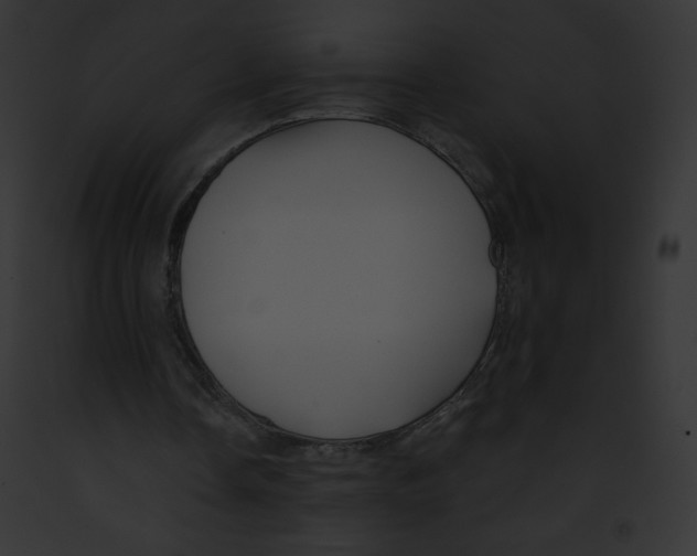X0000091850338200710031024