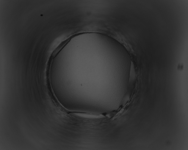 X0000091850340200710031024