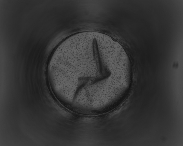 X0000091850341200710031024