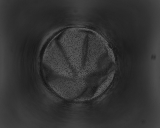 X0000091850342200710031024