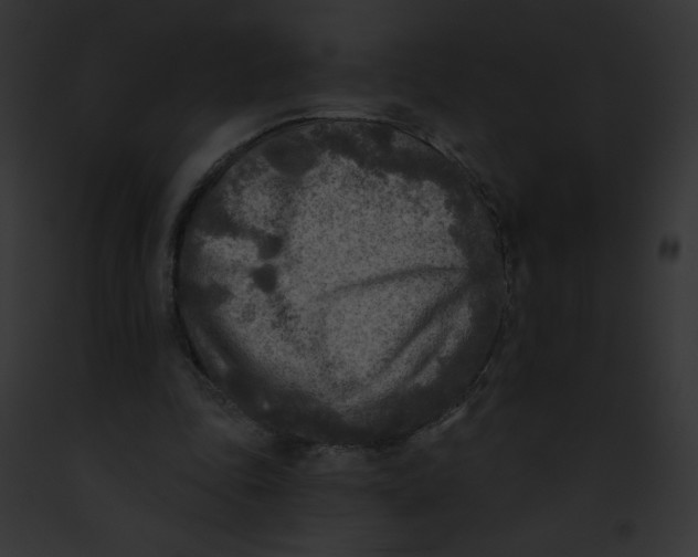 X0000091850343200710031024