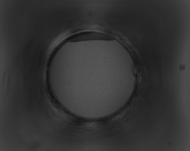 X0000091850344200710031024