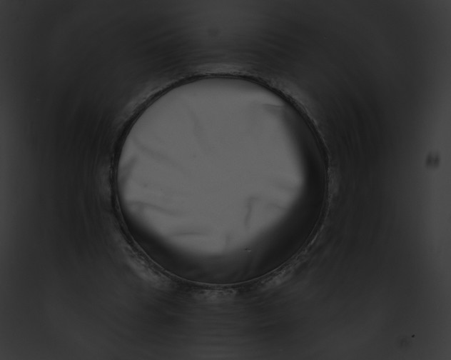 X0000091850345200710031024