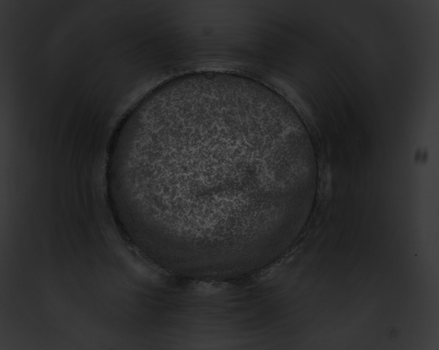 X0000091850346200710031024