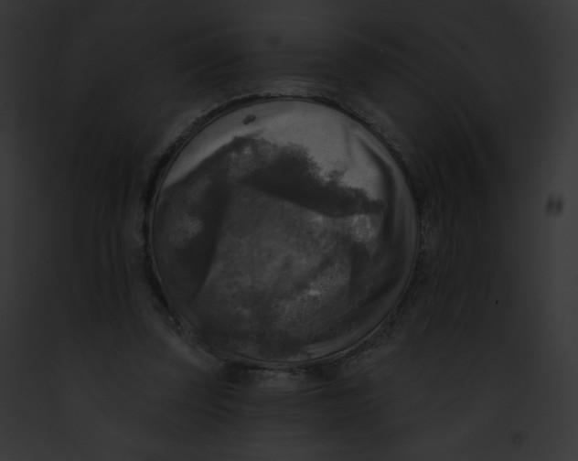 X0000091850347200710031024