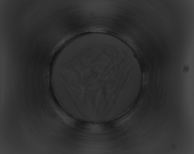 X0000091850349200710031024