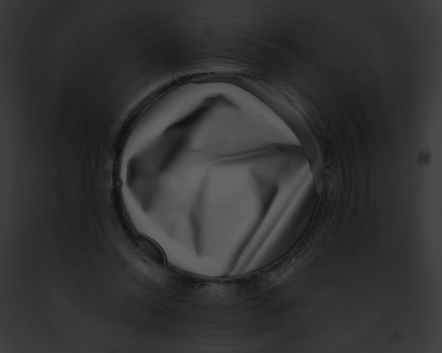 X0000091850350200710031024