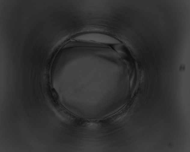 X0000091850352200710031024