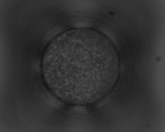 X0000091850353200710031024