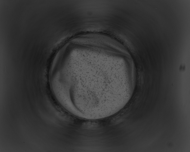 X0000091850354200710031024