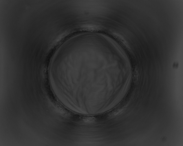 X0000091850355200710031024