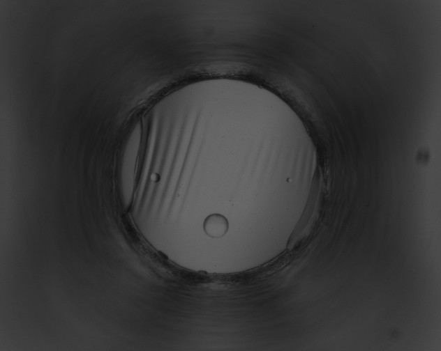 X0000091850356200710031024