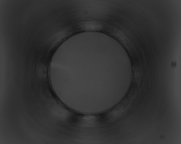 X0000091850357200710031024