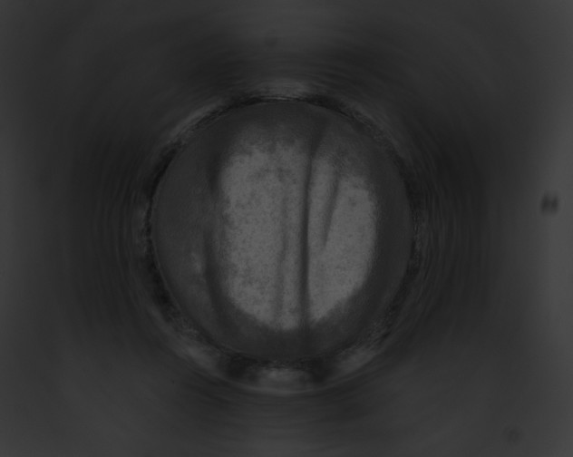 X0000091850360200710031024