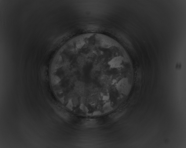 X0000091850361200710031024