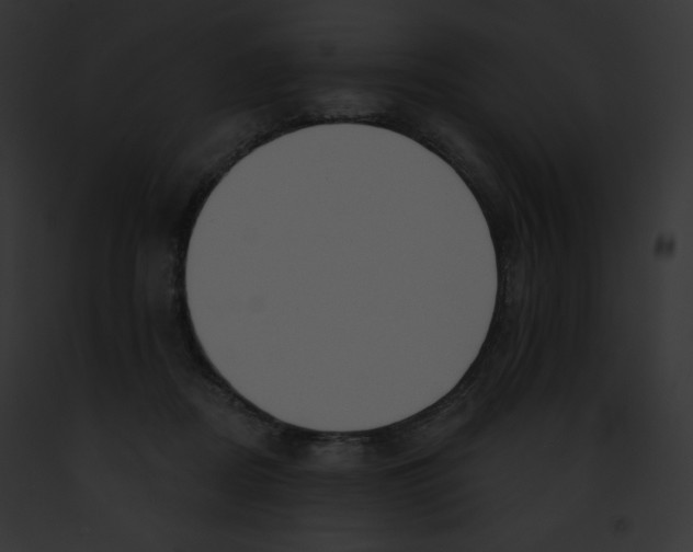X0000091850362200710031024