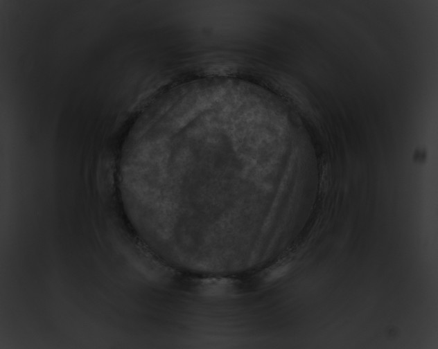 X0000091850363200710031024