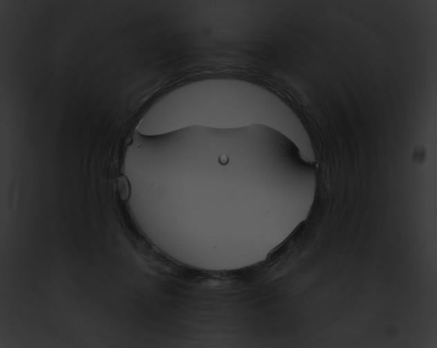 X0000091850364200710031024