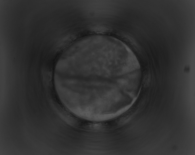 X0000091850365200710031024
