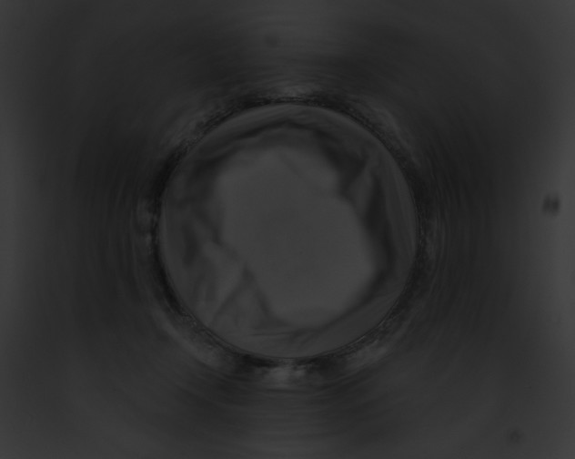 X0000091850366200710031024