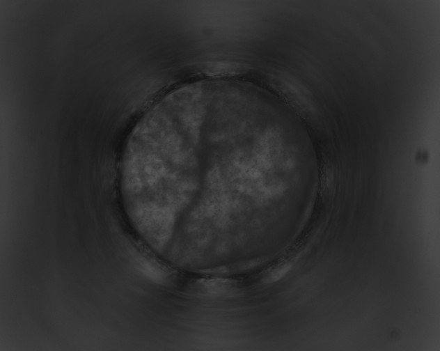 X0000091850367200710031024