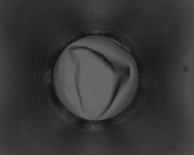 X0000091850368200710031024