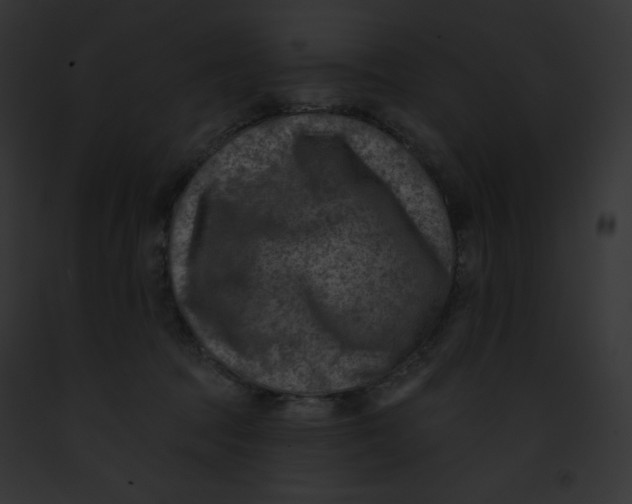 X0000091850369200710031024
