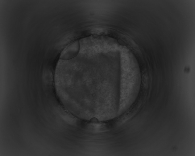 X0000091850375200710031024