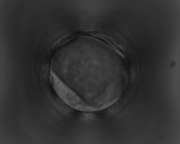 X0000091850376200710031025