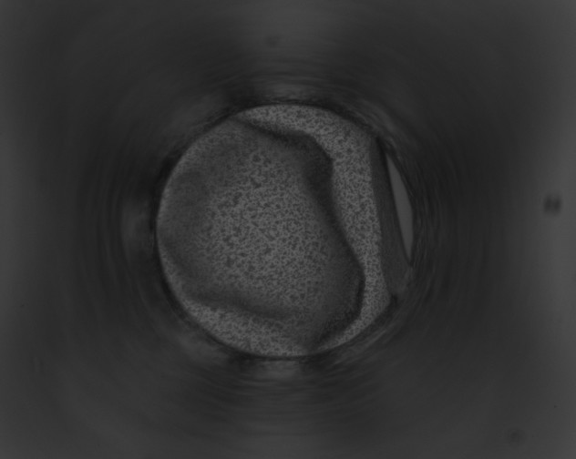 X0000091850377200710031025