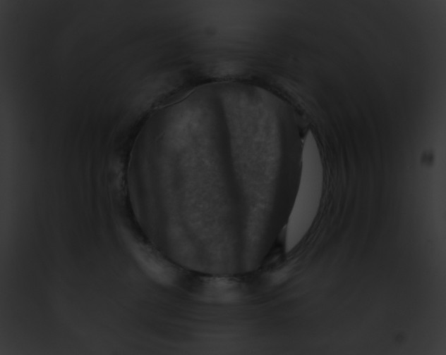X0000091850380200710031025
