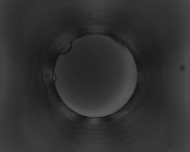 X0000091850382200710031025