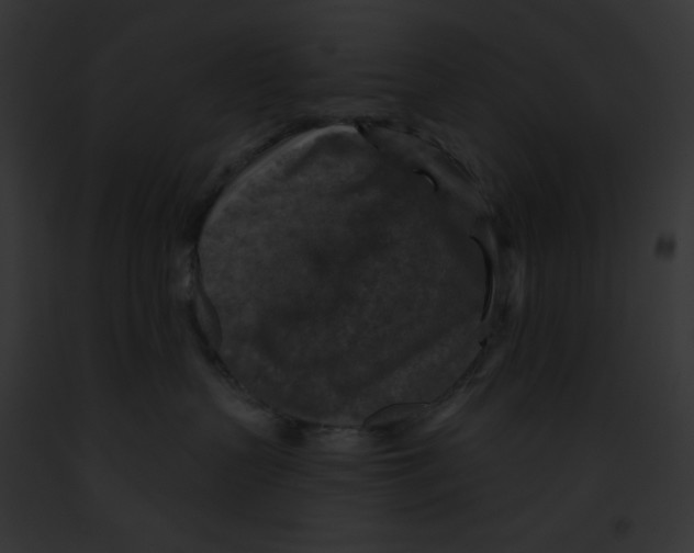 X0000091850383200710031025