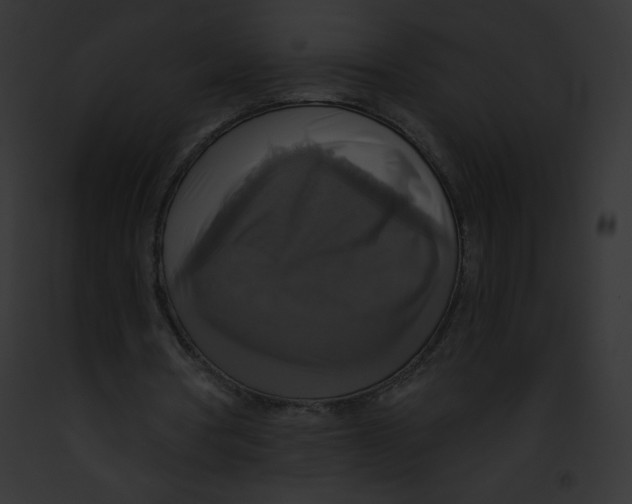 X0000091850386200710031024